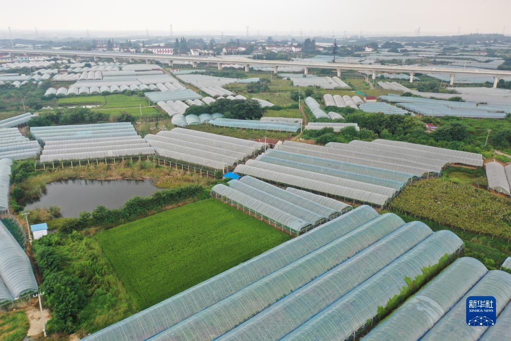 波克捕鱼官方老版本